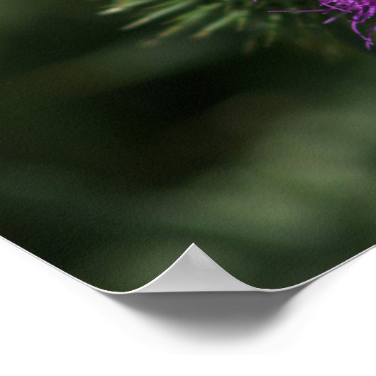 Bee on Milk Thistleポスター ポスター (角)