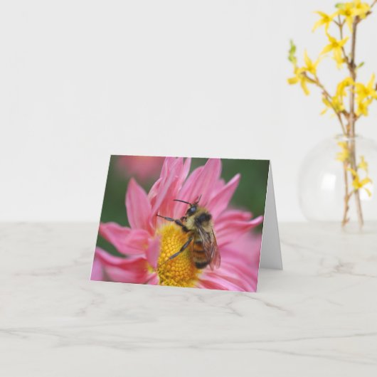 Bee On Pink Daisy Flower Photography Note カード (黄色い花)