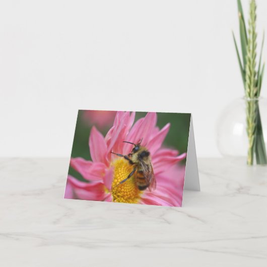 Bee On Pink Daisy Flower Photography Note カード (正面)