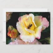 Bee on Pink Yellow Roses花 (裏面)