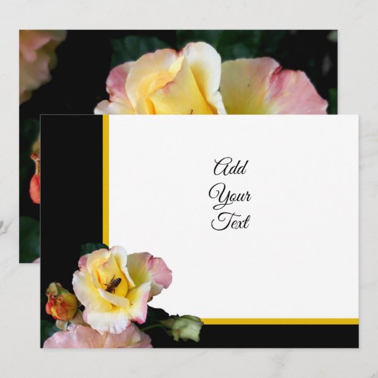 Bee on Pink Yellow Roses花 (正面/裏面)