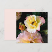 Bee on Pink Yellow Roses花 (正面/裏面)