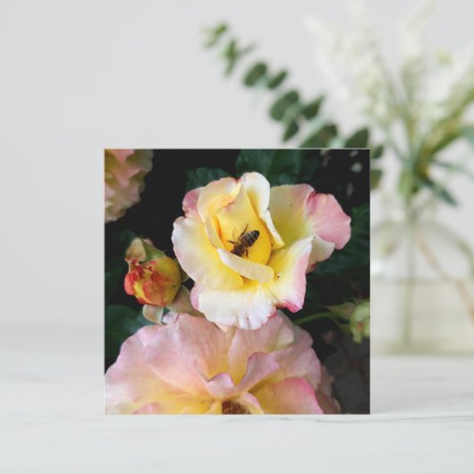 Bee on Pink Yellow Roses花 (スタンド正面)