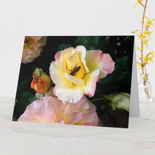Bee on Pink Yellow Roses花 カード (黄色い花)