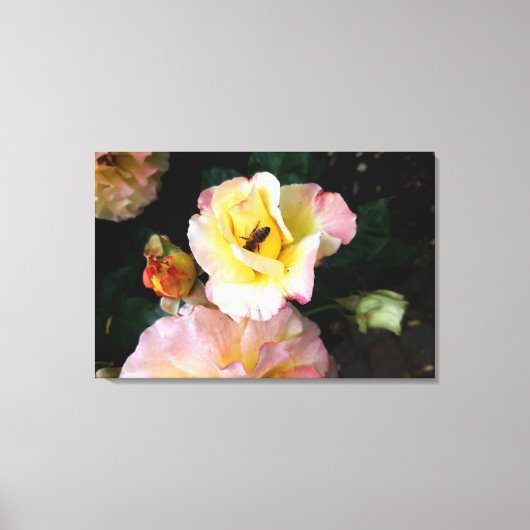 Bee on Pink Yellow Roses花 キャンバスプリント (正面)