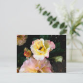 Bee on Pink Yellow Roses花 ポストカード (スタンド正面)