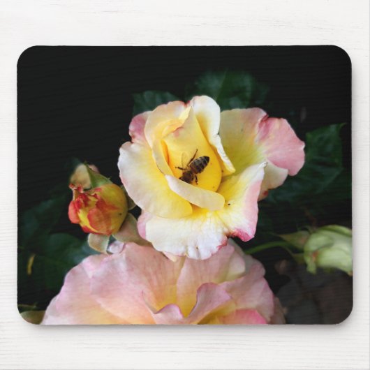 Bee on Pink Yellow Roses花 マウスパッド (正面)