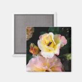 Bee on Pink Yellow Roses花 マグネット (正面/裏面)