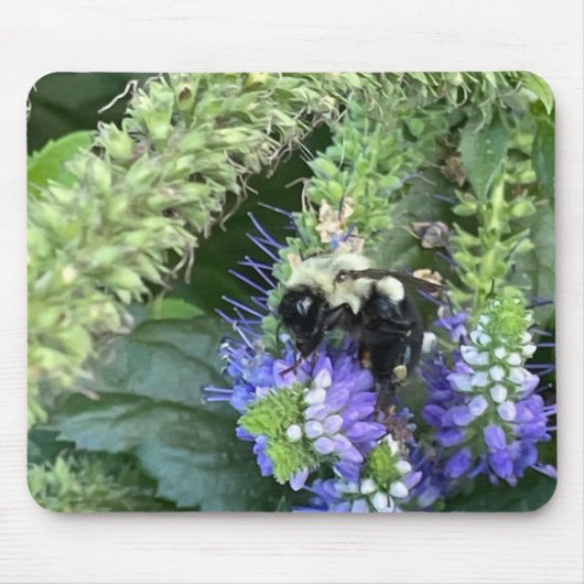 Bee on Purple Flower Mouse pad マウスパッド (正面)