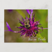 Bee on purple thistle flower ポストカード (正面)
