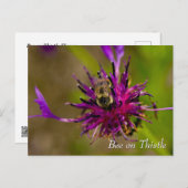 Bee on purple thistle flower ポストカード (正面/裏面)