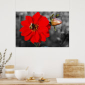 Bee on Red Flower Poster ポスター (キッチン)