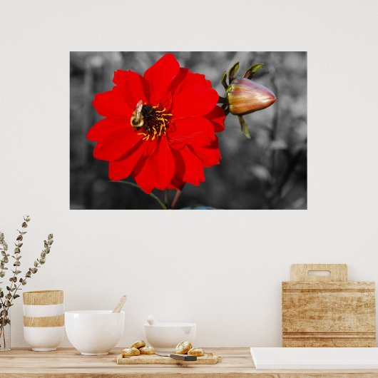 Bee on Red Flower Poster ポスター (キッチン)