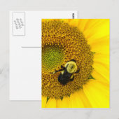 Bee on Sunflower ポストカード (正面/裏面)