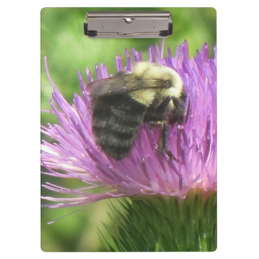 Bee On Thistleクリップボード クリップボード (正面)