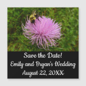 Bee on Thistle Flower Nature (正面)