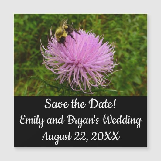 Bee on Thistle Flower Nature (正面)