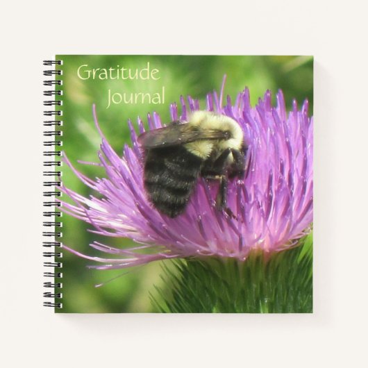Bee On Thistle Resurance Journal ノートブック (正面)
