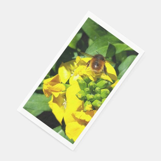 Bee on Yellow Flowers (コーナー)