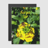 Bee on Yellow Flowers (正面/裏面)