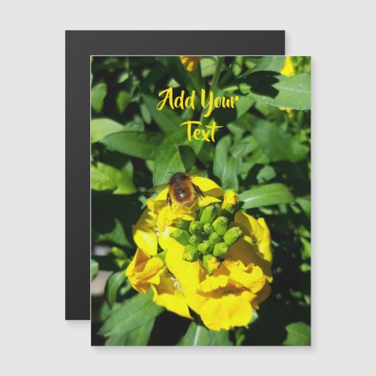 Bee on Yellow Flowers (正面/裏面)