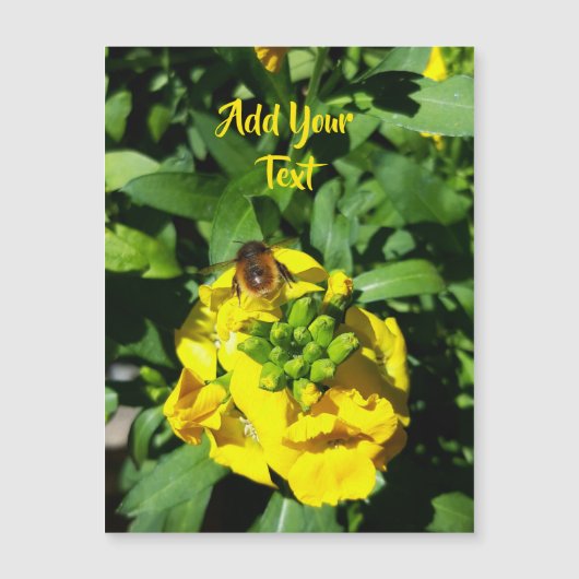 Bee on Yellow Flowers (正面)