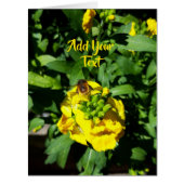 Bee on Yellow Flowers (正面)