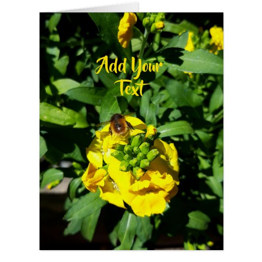 Bee on Yellow Flowers (正面)