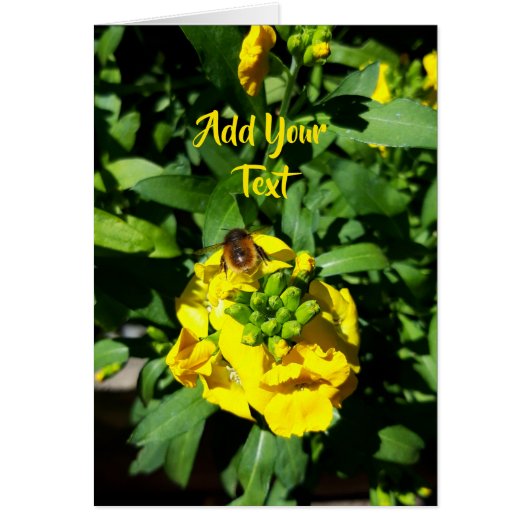 Bee on Yellow Flowers (正面)