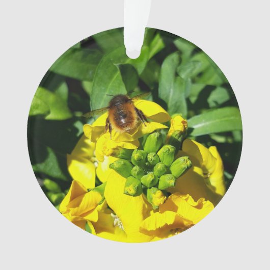 Bee on Yellow Flowers オーナメント (正面)