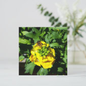 Bee on Yellow Flowers カード (スタンド正面)
