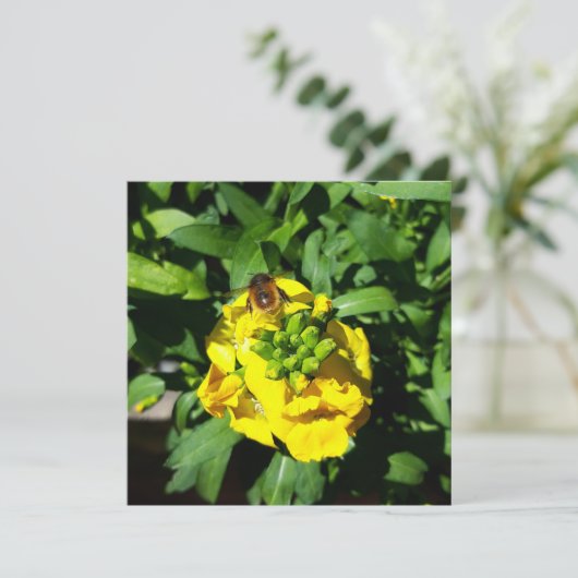 Bee on Yellow Flowers カード (スタンド正面)