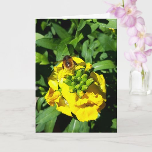 Bee on Yellow Flowers カード (蘭)