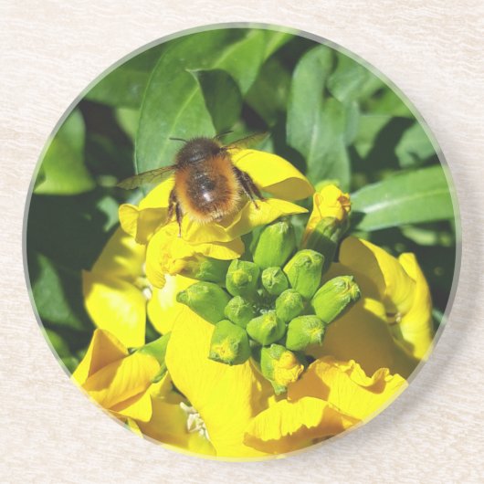 Bee on Yellow Flowers コースター (正面)
