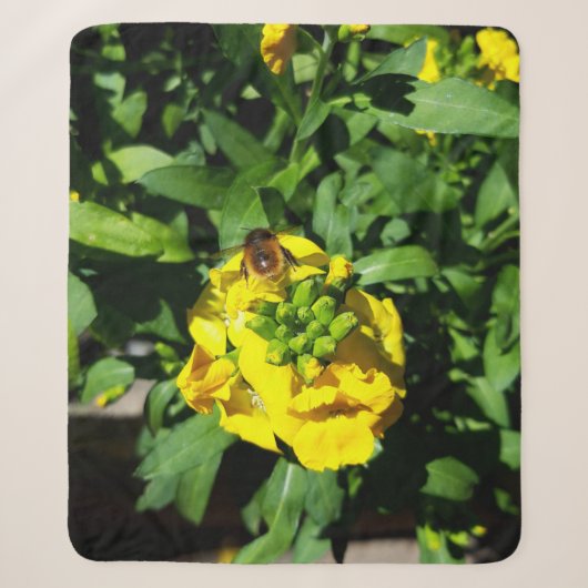 Bee on Yellow Flowers シェルパブランケット (正面)
