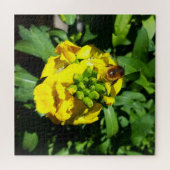 Bee on Yellow Flowers ジグソーパズル (横)