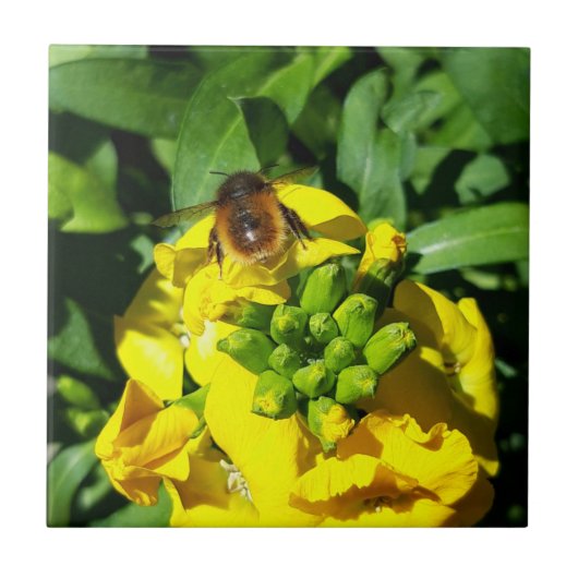 Bee on Yellow Flowers タイル (正面)