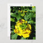 Bee on Yellow Flowers ポストカード (正面/裏面)
