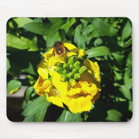Bee on Yellow Flowers マウスパッド (正面)