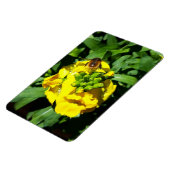 Bee on Yellow Flowers マグネット (左側)