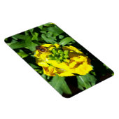 Bee on Yellow Flowers マグネット (右側)