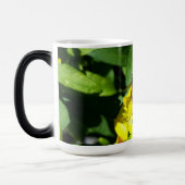 Bee on Yellow Flowers モーフィングマグカップ (左)