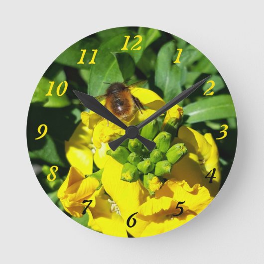 Bee on Yellow Flowers ラウンド壁時計 (正面)