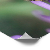 Bee on Yellow & Purple Flowerポスター ポスター (角)