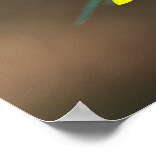 Bee on Yellow Wildflower Poster ポスター (角)