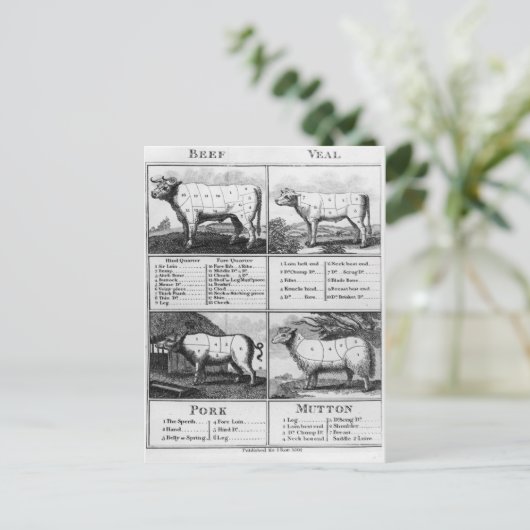 Beef, Veal, Pork, and Mutton Cuts, 1802 ポストカード (スタンド正面)