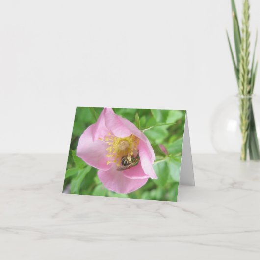 Beeflyのバラノートカード シーズンカード (正面)