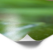 Beehive Ginger、Zingiber spectabile)、 フォトプリント (角)