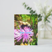 BEELOVE2はがき ポストカード (スタンド正面)