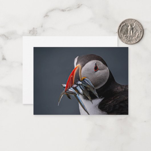 Been魚釣り ノートカード (正面/裏面インサイチュ)